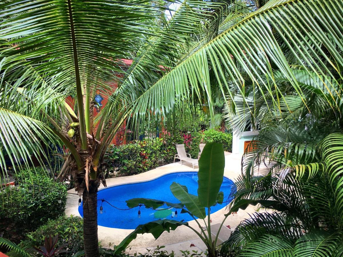Villa Tortuga 노사라 외부 사진